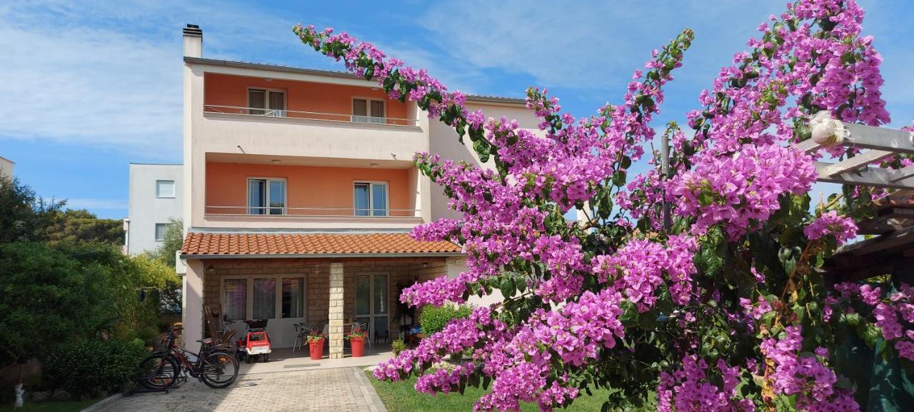 Apartments Tomic 比奥格勒·纳·莫鲁 外观 照片